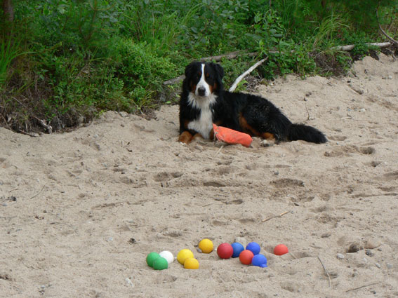 tummi- ja petankkipallovahti