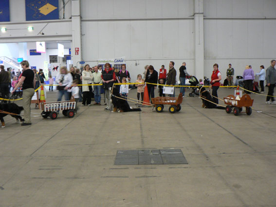 Vetokeikan rauhallisinta vaihetta, sillon ku viä kerkis kuvaileen