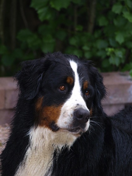 mää vähän poseeraan