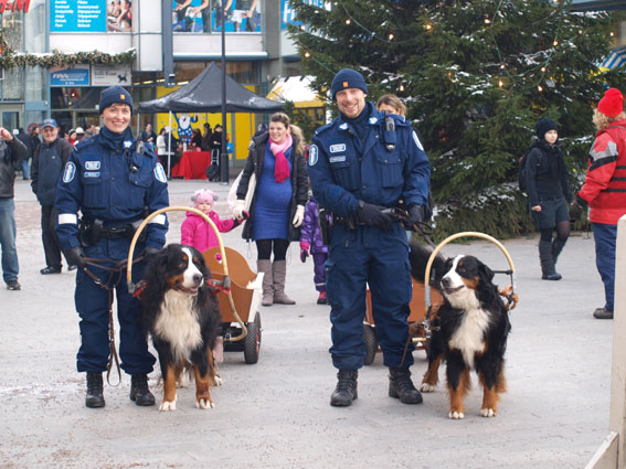 poliisikoirat Donna ja Saska
