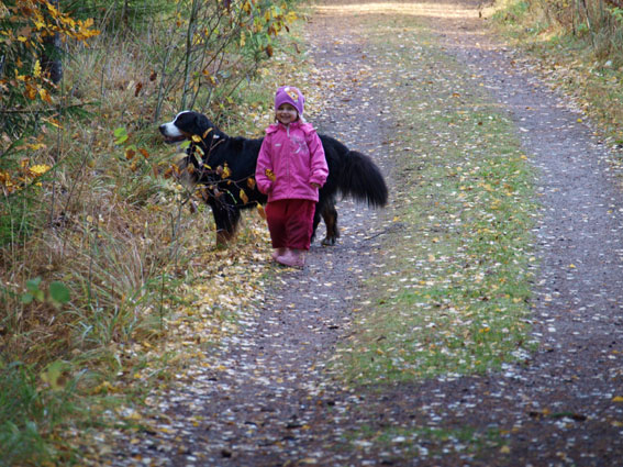 Sieniretkellä Lumin kanssa