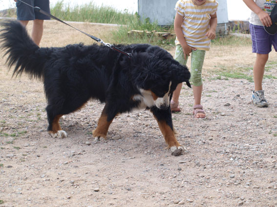 Bengtskärin Sam Makkonen